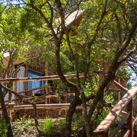 Camping Lacona Pineta Capoliveri Kültér fotó