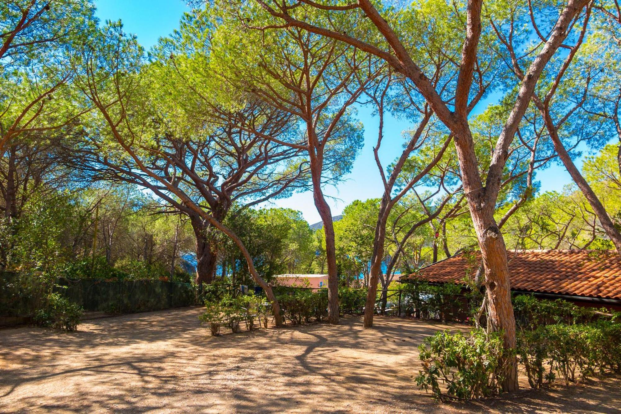 Camping Lacona Pineta Capoliveri Kültér fotó