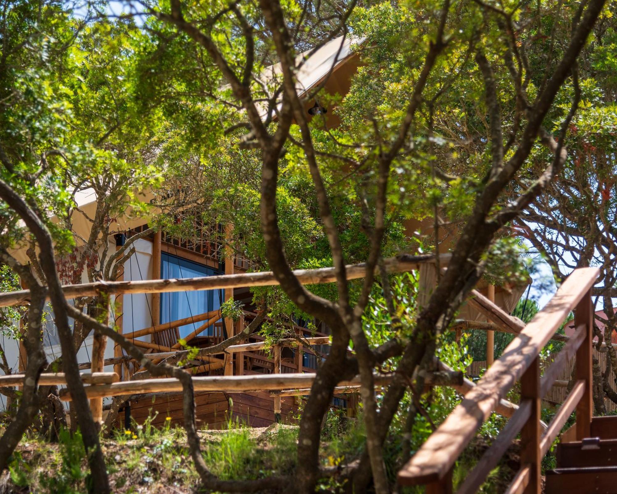 Camping Lacona Pineta Capoliveri Kültér fotó