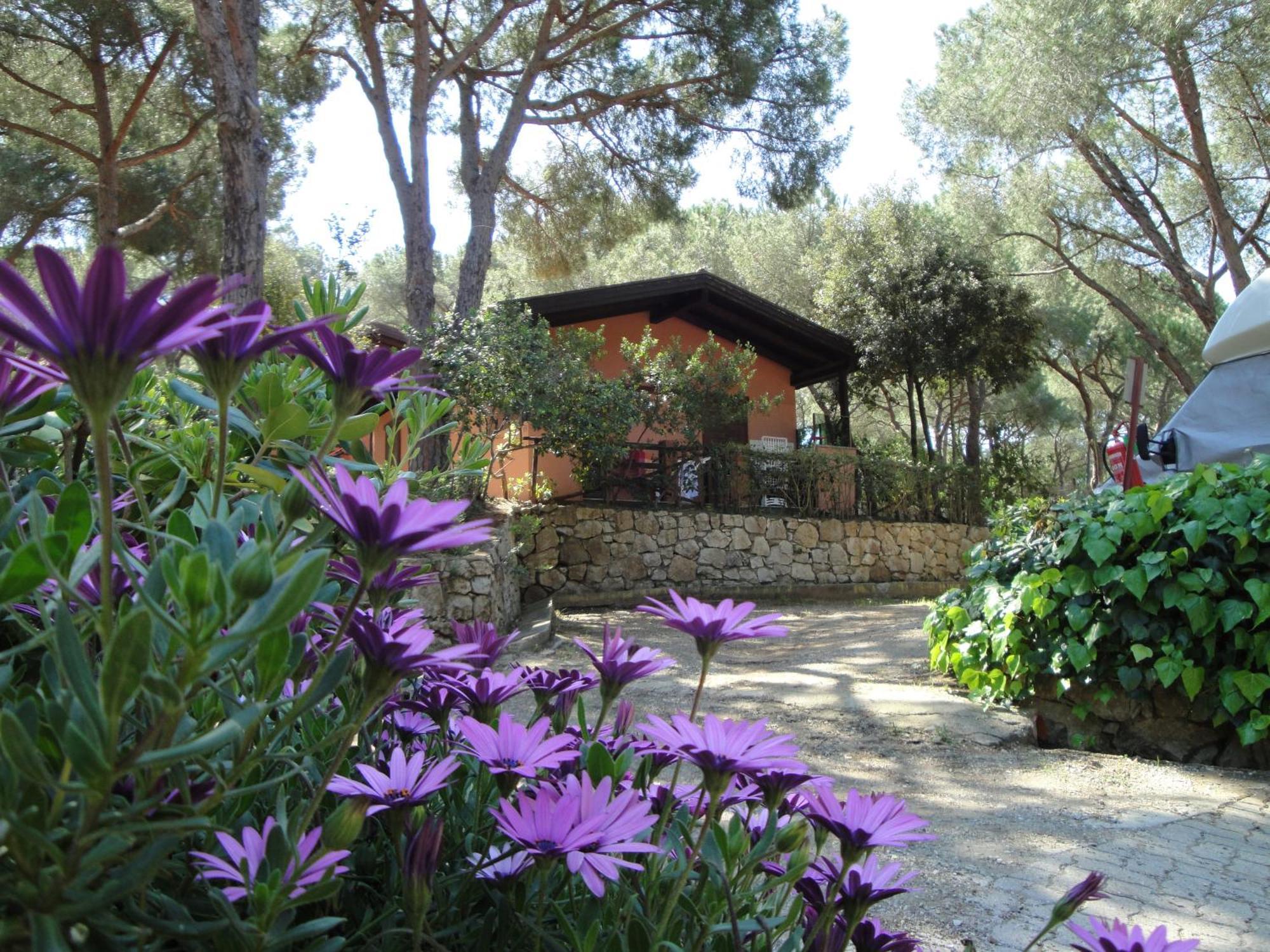 Camping Lacona Pineta Capoliveri Kültér fotó