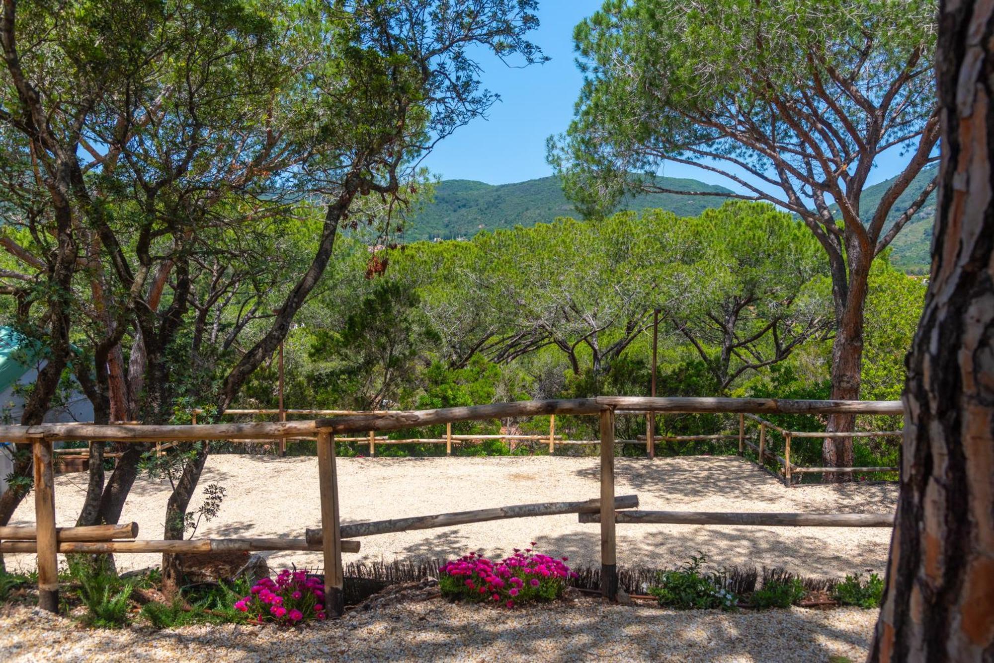 Camping Lacona Pineta Capoliveri Kültér fotó